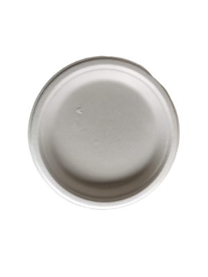 Plate 6