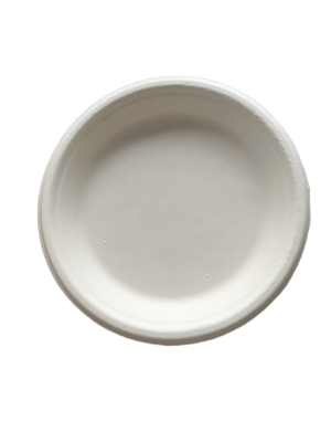 Plate 7