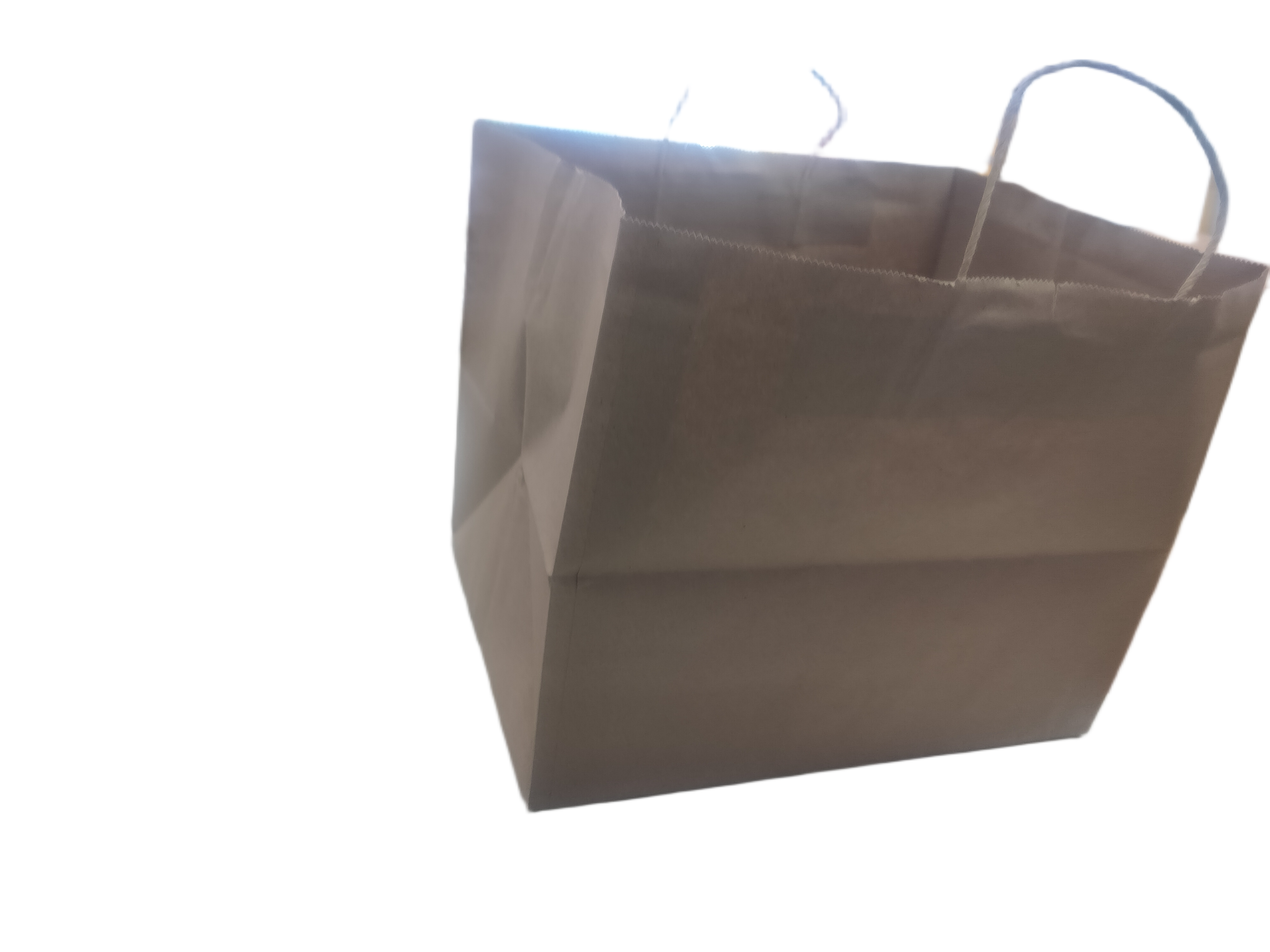 paper bag medium
